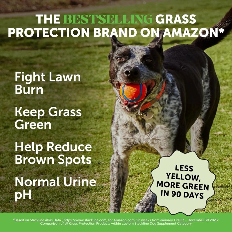 Pet Honesty Grass Green Dog Chews - Urine Neutralizer for