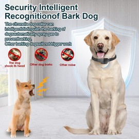 Citronella Bark Collar for Dogs, Spray Dog Collar Level 3 Sensitivity Adjustable Spray Bark Collar, Safer Spray Bark Training Dog Collar Suitability for L/M/S Dog Citronella Collar [1* Spray Refill]