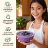 Hee Creek 100% Pure Blueberry Powder 10oz/ 283g Freeze Dried