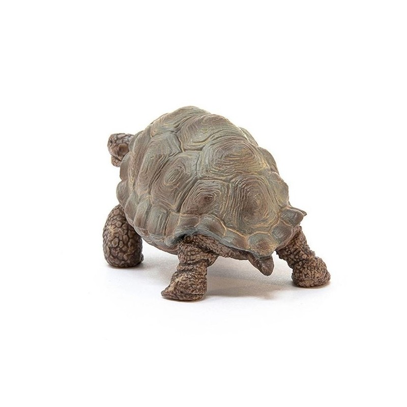 giant turtle / 자이언트 거북