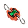 250kg Portable Hand Electronic Scale LCD Display with Backlight kg