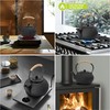 suyika Japanese Tetsubin Cast Iron Teapot Tea Kettle pot with