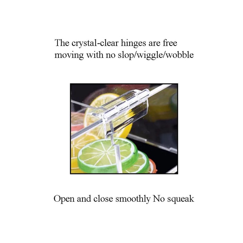 Odinest Clear Acrylic Hinge Transparent Folding Lightweight 65x42mm Crystal Plastic