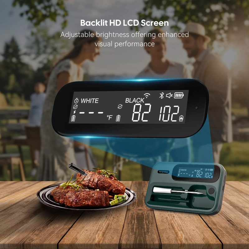 Tempwise Truly Wireless Cooking Meat Thermometer 5G WiFi Long/Short Probe