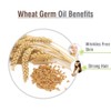 Wheat Germ Essential Oil 100% Pure & Natural - Undiluted