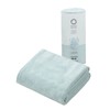 CBJAPAN Carari Earth Hair Drying Towel, 4x Water Absorbency Microfiber,