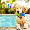 Fancy Pets Juguete Pez Congelable para Perros, Masticable y Refrescante,