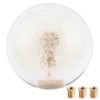2.8in Shift Knob Crystal Real Dandelions Flowers Universal Accessory with