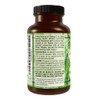 Vegan Omega 3 Algae Oil with DHA EPA The Fish-Less