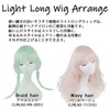 Fujitatsu LML60-OW-063 Wig, Cosplay, Full Wig, Long, Straight, White, Gray