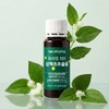 Vitamin Village 비타민마을 파이토 101 삼백초추출물 20g x 10병 1박스