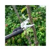 Ars Corporation ZZ-18S-1 3 Telescopic High Branch Shears, Double Zoom