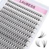 Eyelash Clusters LAUBESS Lash Clusters Individual Lashes Cluster Eyelash Extensions