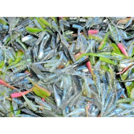 All American Tournament Quality Soft Plastic Baits 100ct ASSORTED MIXTURE 2" STINGER SHAD GRUBS Crappie Fishing Lures Quiver Tail