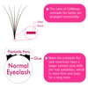 Lash Extension C Curl 8D 8mm Premade Fans Eyelash Extensions