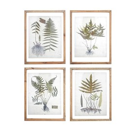 Creative Co-Op Botanical Print Wood Framed Wall Art Portrait, Green and Cream, Set of 4