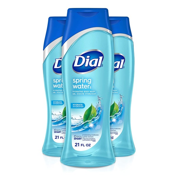 Dial Body Wash, Spring Water with All Day Freshness, 21-Fluid Ounces (Pack of 3)
