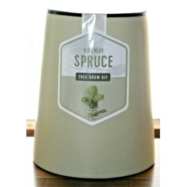 Modern Sprout Self Watering Planter Plant Tree Herb Grow Kit Modern Sprout Norway Spruce