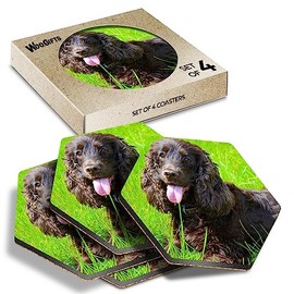4 x Hexagon Coasters - Irish Water Spaniel Dog Breed Puppy Cork Backed MDF Glossy Tea Coffee Accessory #51234
