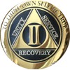 2 Year AA Medallion Elegant Black Gold Silver Plated Bi-Plate