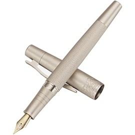 6013 - Pluma estilográfica de metal plateado mate con textura de árbol, iridio extrafino de 0,4 mm con juego de bolígrafos de tinta de escritura
