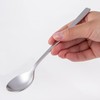 Tsubame Shinko Industries SUNAO Soup Spoon, 6.6 inches (168 mm),