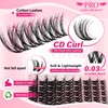 PROLASHBEAUTY Natural Lash Clusters Wispy Eyelash Clusters, Eyelash Extensions D