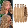 Ash Honey Blonde Braiding Hair Pre Stretched for Boho Braids