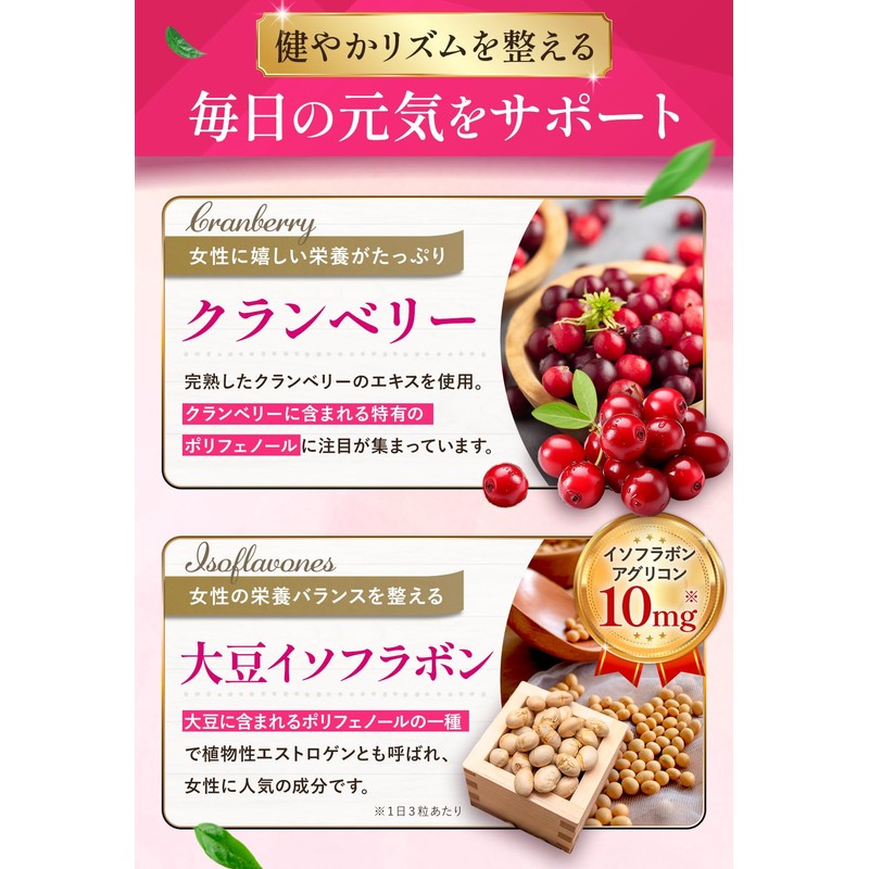 占部大観堂製薬 クランベリー30の恵み（90粒・約1ヶ月分） クランベリー サプリ トイレ フェムケア