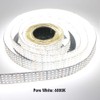 Quad Row LED Strip Lights - 24VDC 3528SMD 146LEDs/Ft High