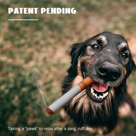 Nocciola 3 Packs Squeaky Puff Stick Toys with a Box, Funny Interactive Plush Dog Toys, Pitbull Husky Frenchie Pug Stuffed Puppy Toys for Small to Medium Breed, Dog Accessories Boy Gift