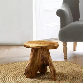 Greenage Cedar Root Natural Stool Mushroom Reclaimed Hard Side Table Stand Foot Wood End