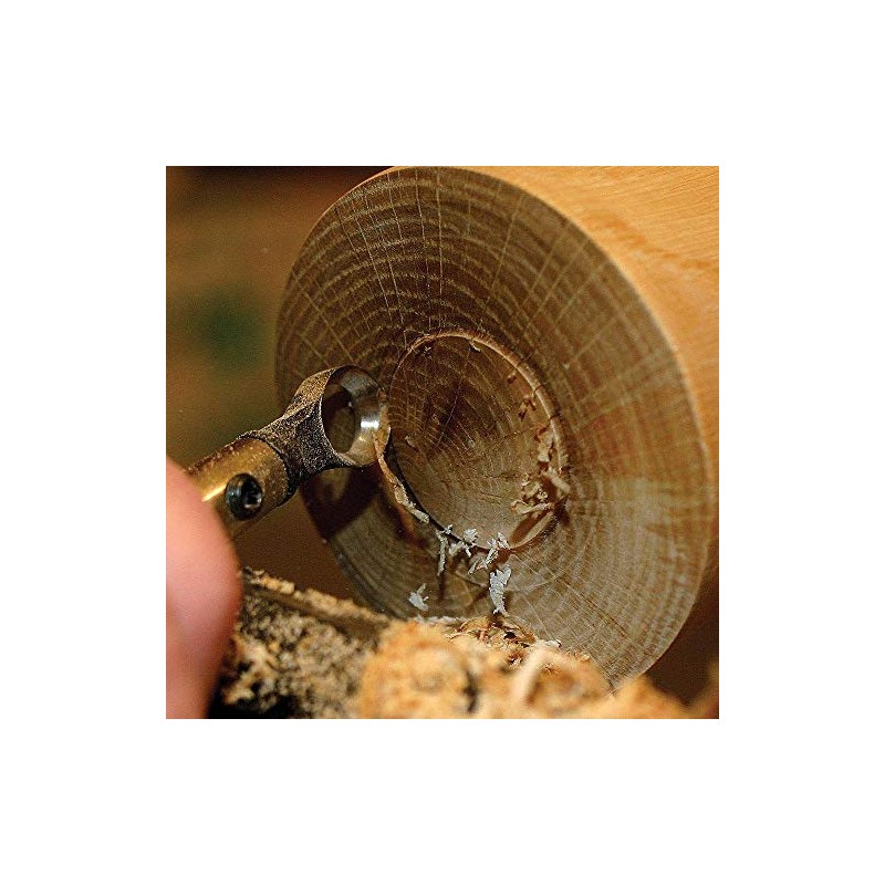 Oneway Termite Hollowing Tool Package