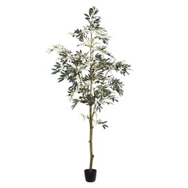 Vickerman 7' Artificial Potted Olive Tree - Olive Plant with 1175 Olive Leaves and 98 Decorative Fake Olives - Tall Green Silk Potted Artificial Indoor Tree- Home Office Decor