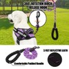Service Dog Vest Harness and Leash Set, Animire in Training