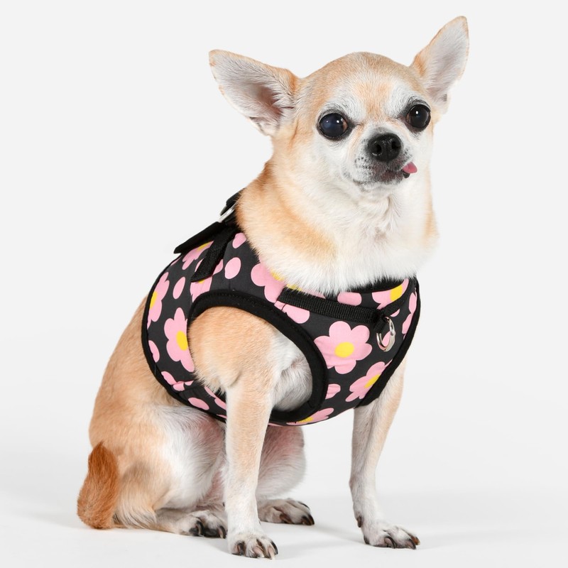 Puppia Bacopas Dog Vest Harness B (Step-in) Fashionable Flower Pattern