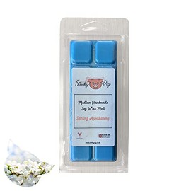 Medium Wax MELT Clamshell BAR - Snap Tart Handcrafted Soy Wax Vegan Long Lasting Highly Scented Handmade Wax Melts (Spring Awakening)