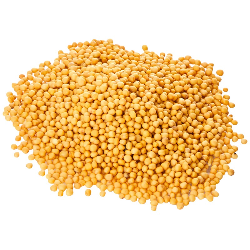 Old India Mustard Seeds Yellow Whole 500g