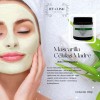 Kit Celulas Madre Serum Bloqueador Solar Mascarilla Antiedad