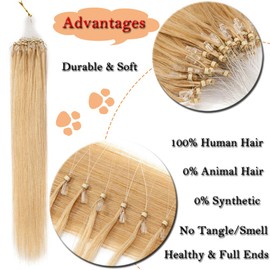 16" Micro Loop Human Hair Extensions 1g/s 50Strands #24 Natural Blonde (50g)
