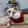 Ancol Play Time For Dogs Plush Squeaky Cuddle Quilted Woodland