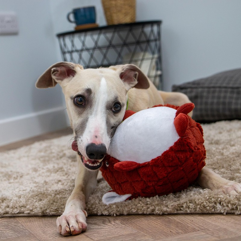 Ancol Play Time For Dogs Plush Squeaky Cuddle Quilted Woodland