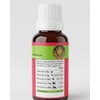 Greenvet Arnica