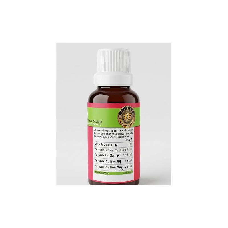 Greenvet Arnica
