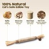 YuanHolumid Sticks for Cats,Natural Catnip Chew Toys,Increase Appetite,Calm Cat Anxiety