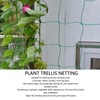 Garden Plant Trellis Netting Green Trellis Netting Polypropylene Plant Support