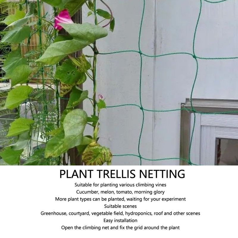 Garden Plant Trellis Netting Green Trellis Netting Polypropylene Plant Support