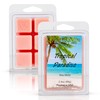 Tropical Paradise Scented Wax Melt - 2 Ounces - 6