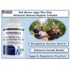 Kelp Red Marine Algae and Kelp (Unique), Strengthens Immune, All