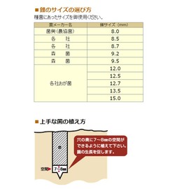 Onishi Industry Shiitake Conical (High Speed Lead Type) (NO.31) 0.4 inch (9.5 mm)